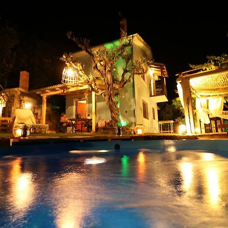 Villa Fakistra'S Blue House à Tsagkarada Extérieur photo